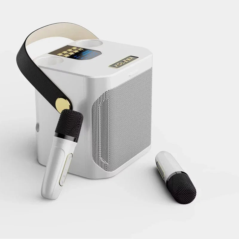 Enceinte Bluetooth de karaoké haute puissance avec deux microphones