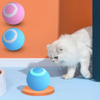 Bola inteligente interativa para gatos