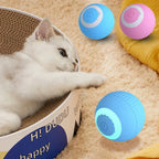 Bola inteligente interativa para gatos