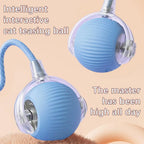Interactive Smart Rolling Cat Ball Toy-3