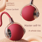 Balle interactive intelligente pour stimuler les chats
