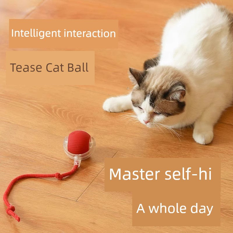 Balle interactive intelligente pour stimuler les chats